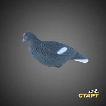 Чучело Тетерев/Тетерка пластик