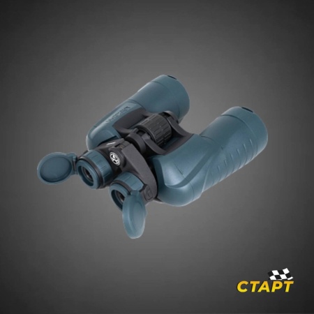 photo_5330338406623547665_y