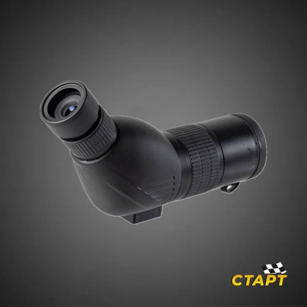 photo_5323386456594124553_y