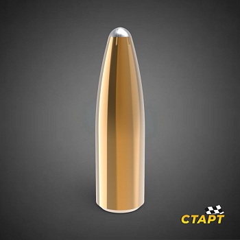 Патрон 7,62х54R SP 11,7 гр томпак Техкрим