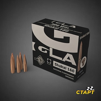 Патрон 7,62х51 ИГЛА Шакал 160  10,4 гр
