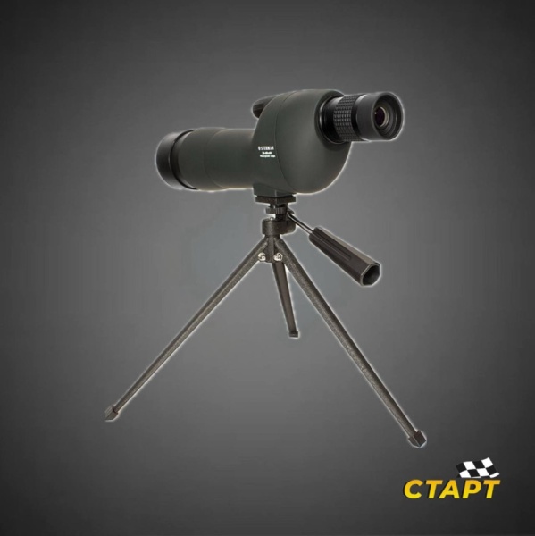 photo_5323386456594124528_y