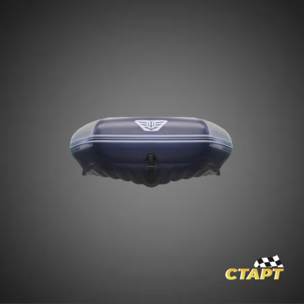 Флагман 350 2 (2)